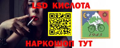 шишки Ирбит