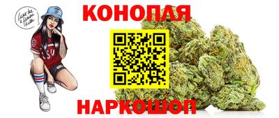 шишки Ирбит