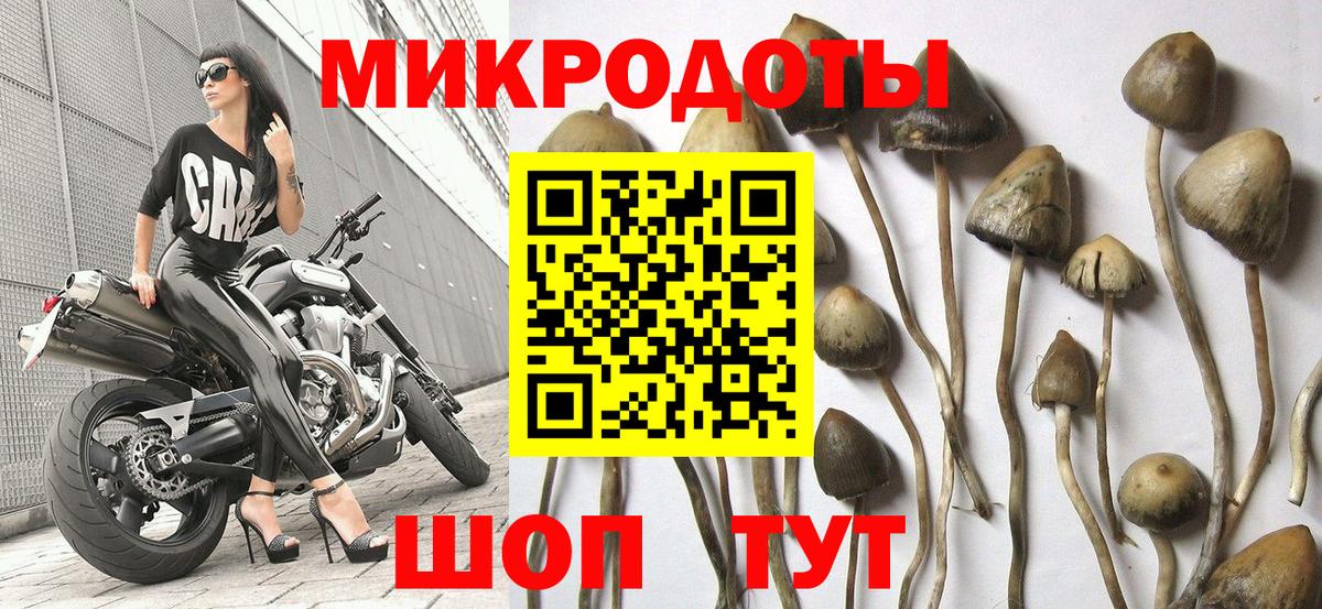 Кумертау  Галлюциногенные грибы MAGIC MUSHROOMS  Вход с VPN  Псилоцибиновые грибы Psilocybine cubensis 
